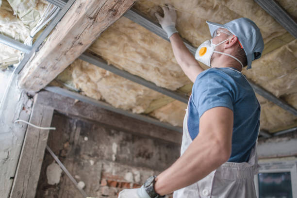 Best Spray Foam Insulation in Three Way, TN