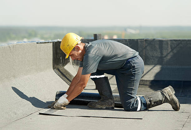Best Geographic-Specific Insulation Services in Three Way, TN